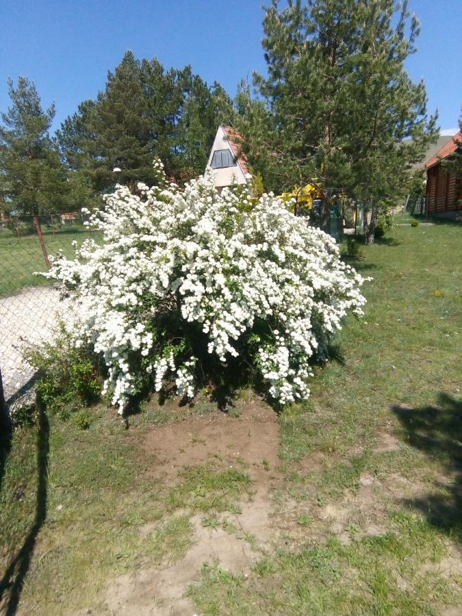 Apartman Marija Zlatibor Exteriör bild